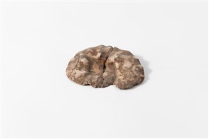 Image description is not available for 2003.2.2